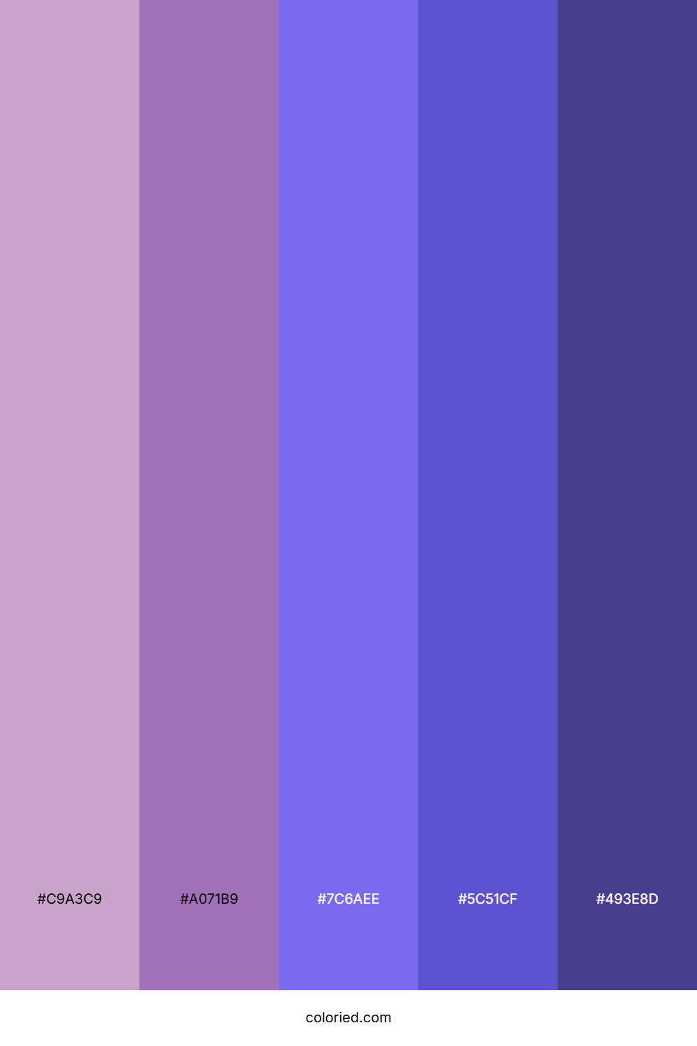 Purple and Blue Gradient Color Palette