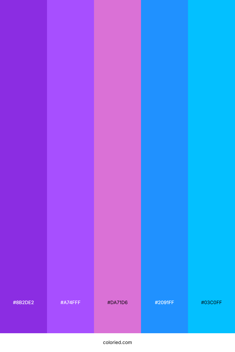 Purple and Blue Neon Color Palette