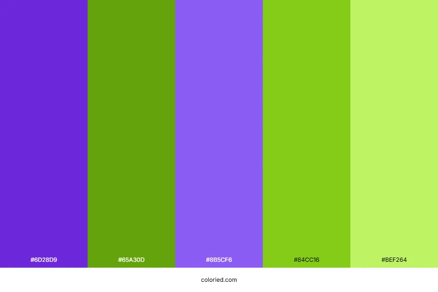 Purple and Lime Color Palette