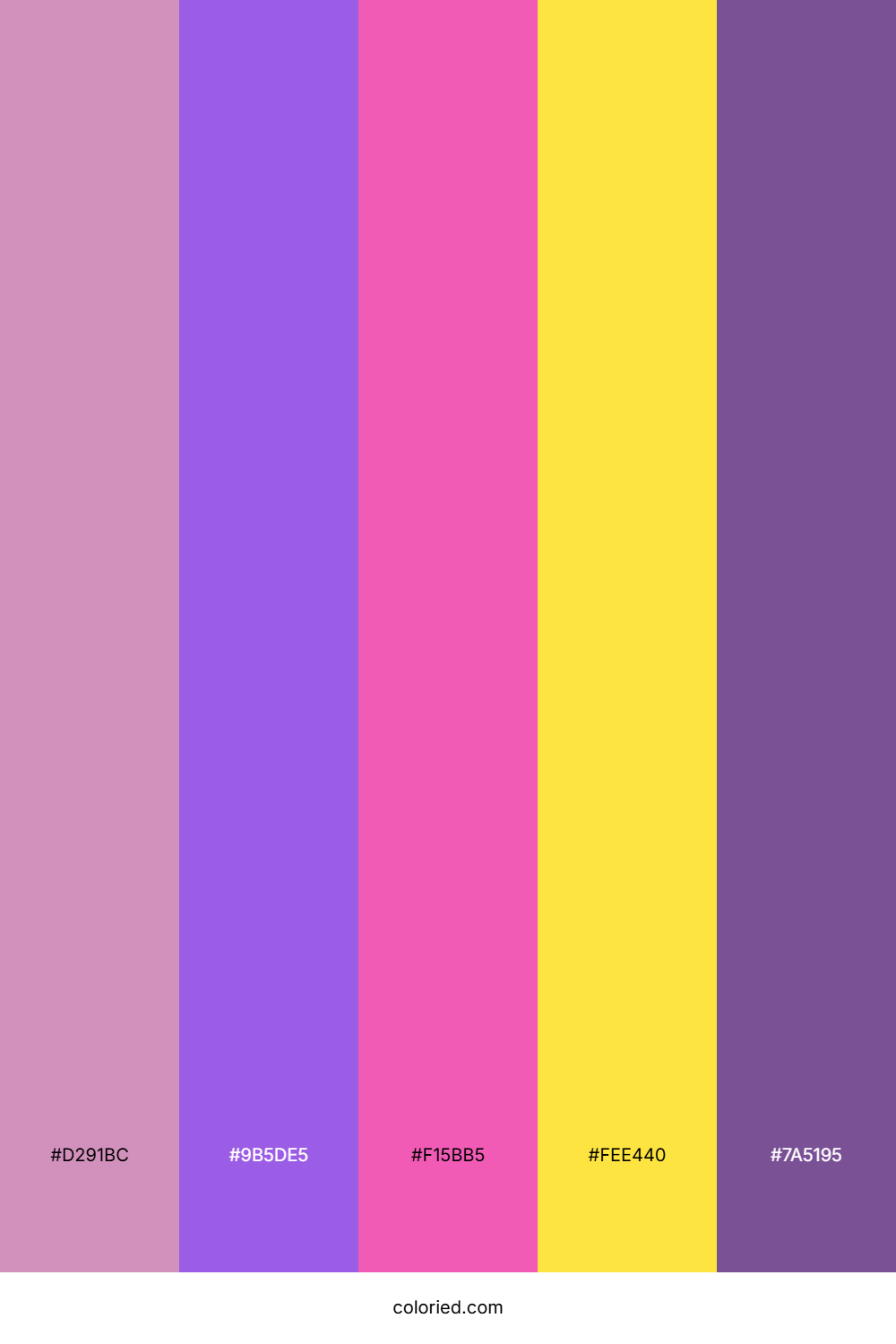 Purple and Pink Color Palette