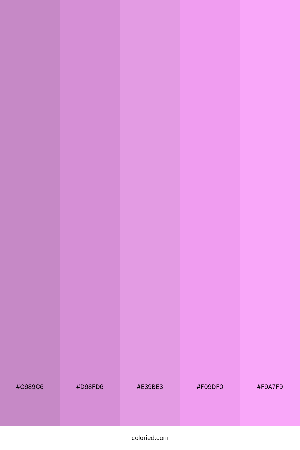 Purple and Pink Gradient Color Palette
