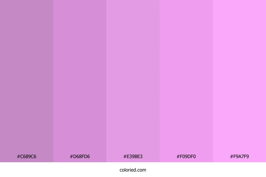 Purple and Pink Gradient Color Palette