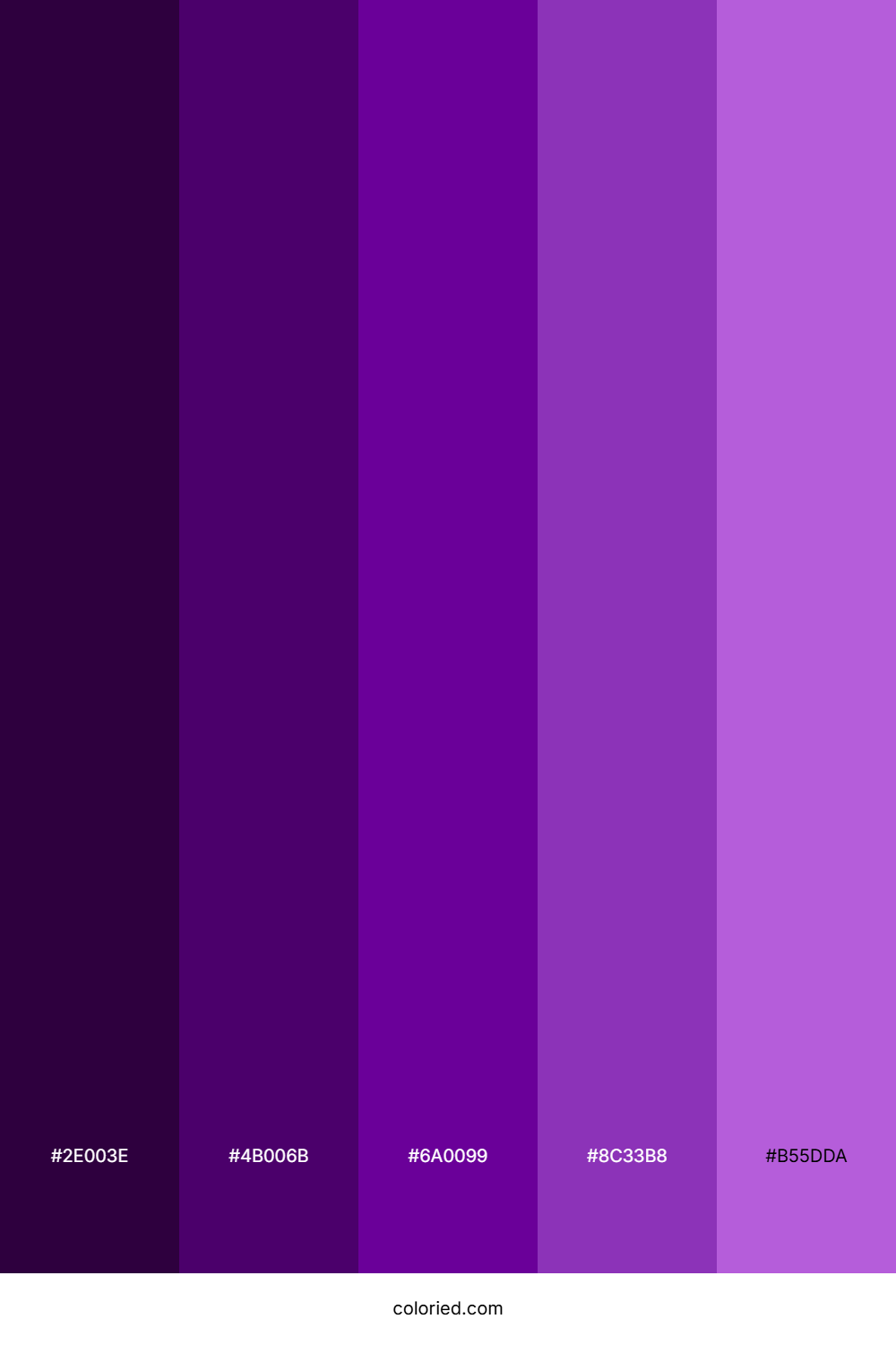 Purple Dark Color Palette