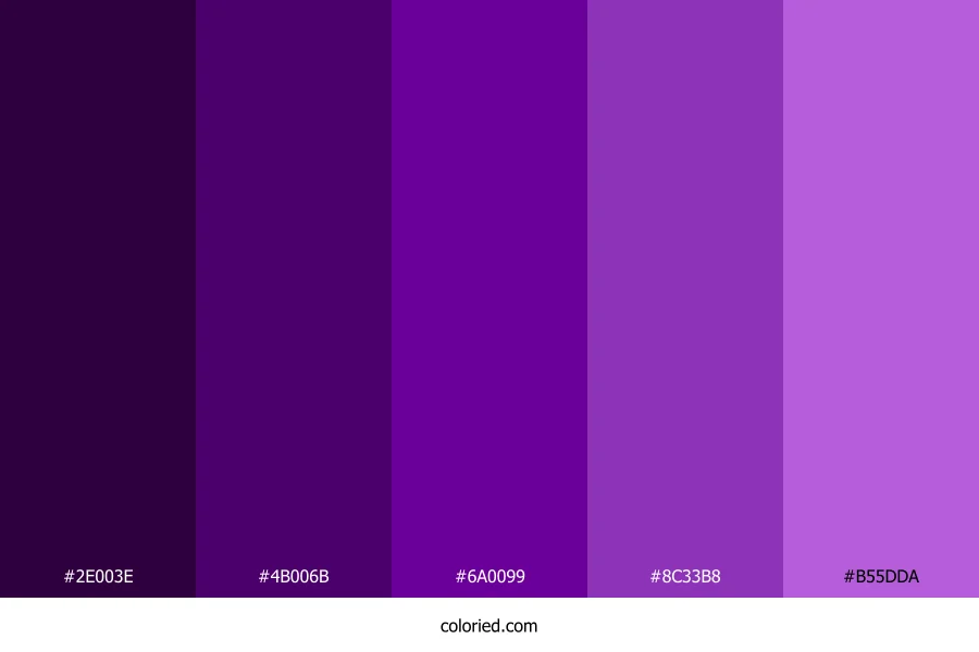Purple Dark Color Palette