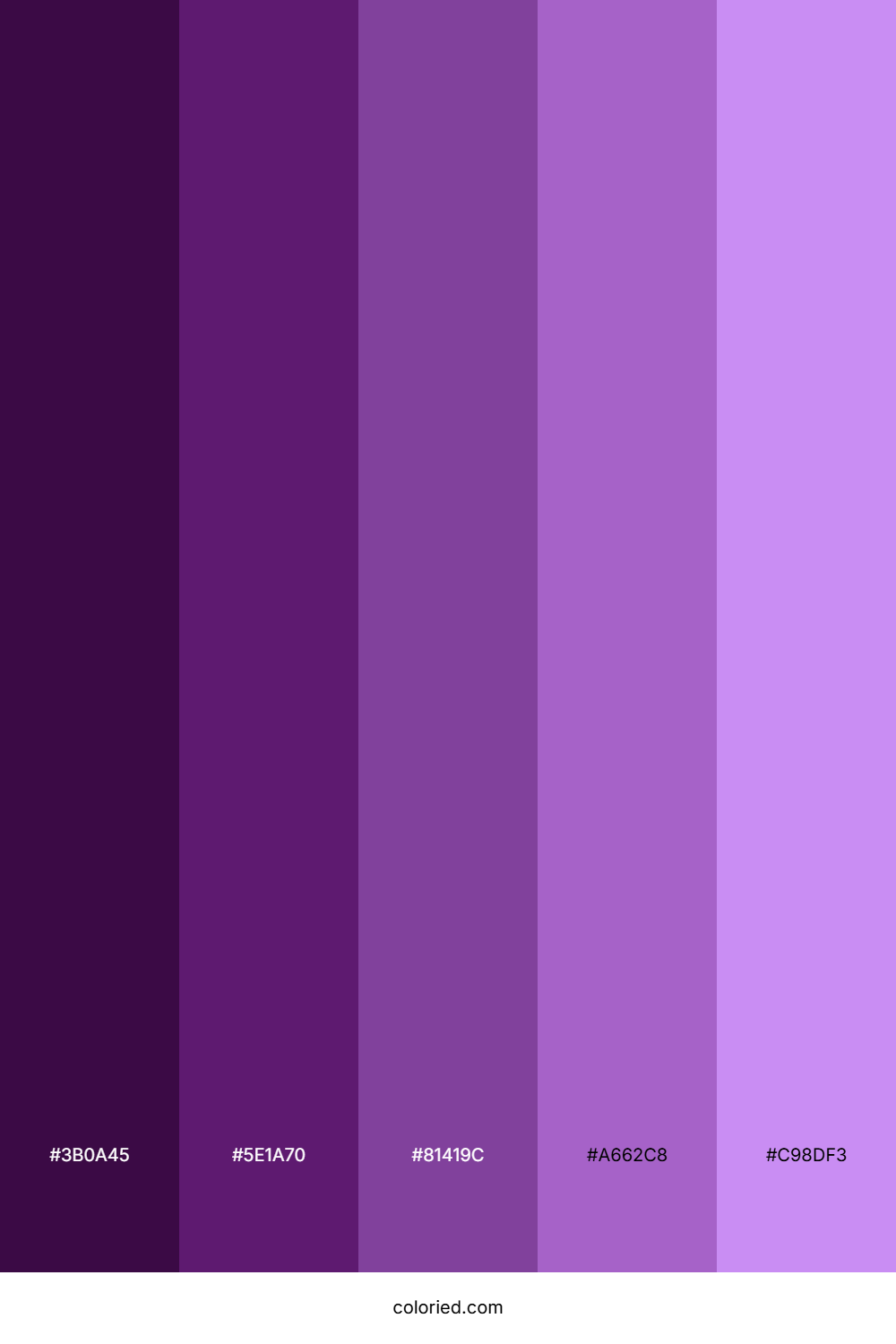 Purple Galaxy Color Palette