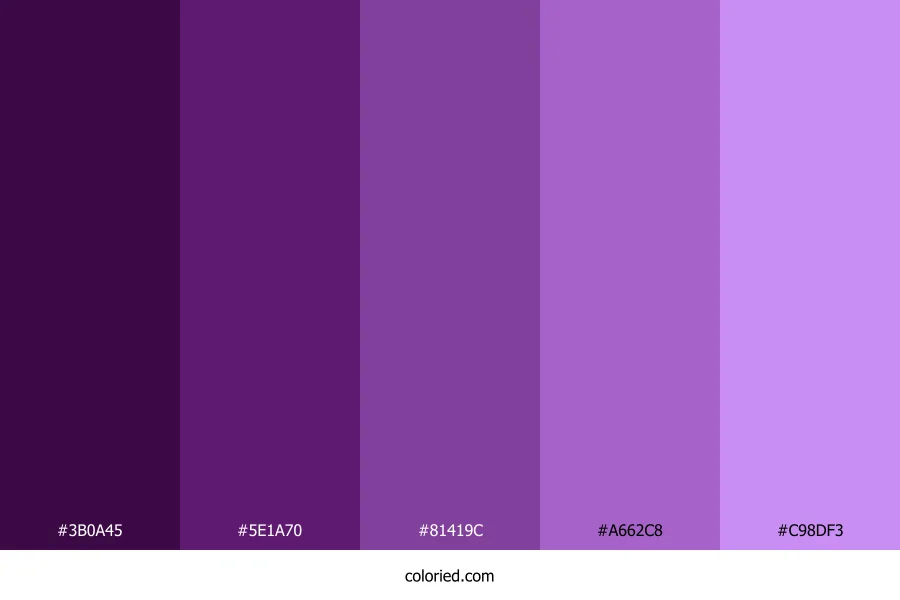 Purple Galaxy Color Palette