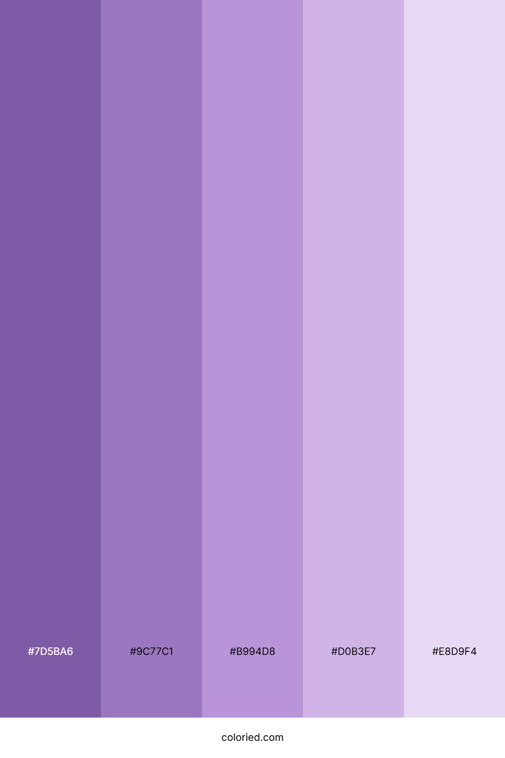 Purple Gradient Color Palette