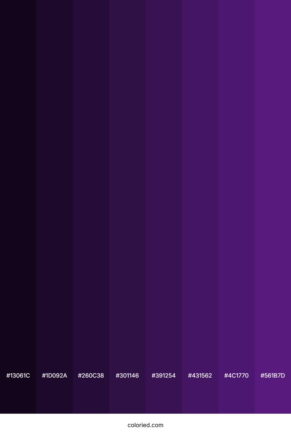 Purple Iris Color Shades