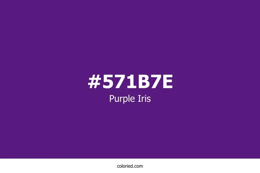 Purple Iris Color
