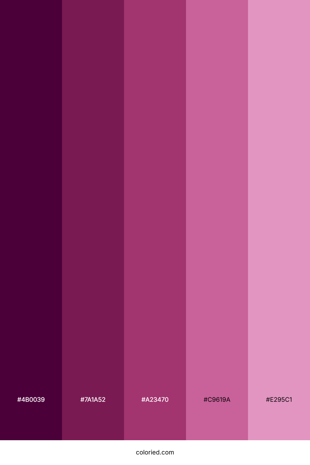 Purple Maroon Color Palette