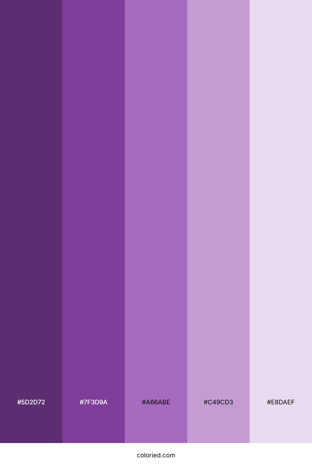 Purple Orchid Color Palette