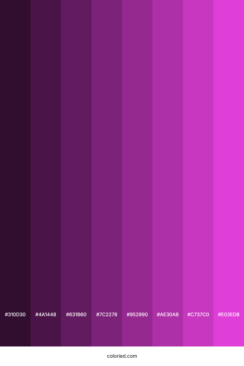 Purple Pink Color Shades