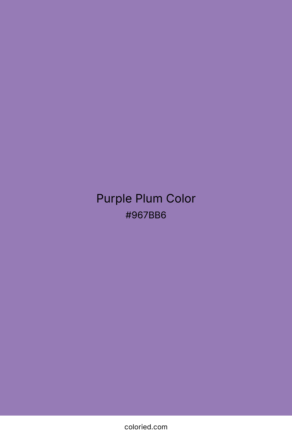 Purple Plum Color