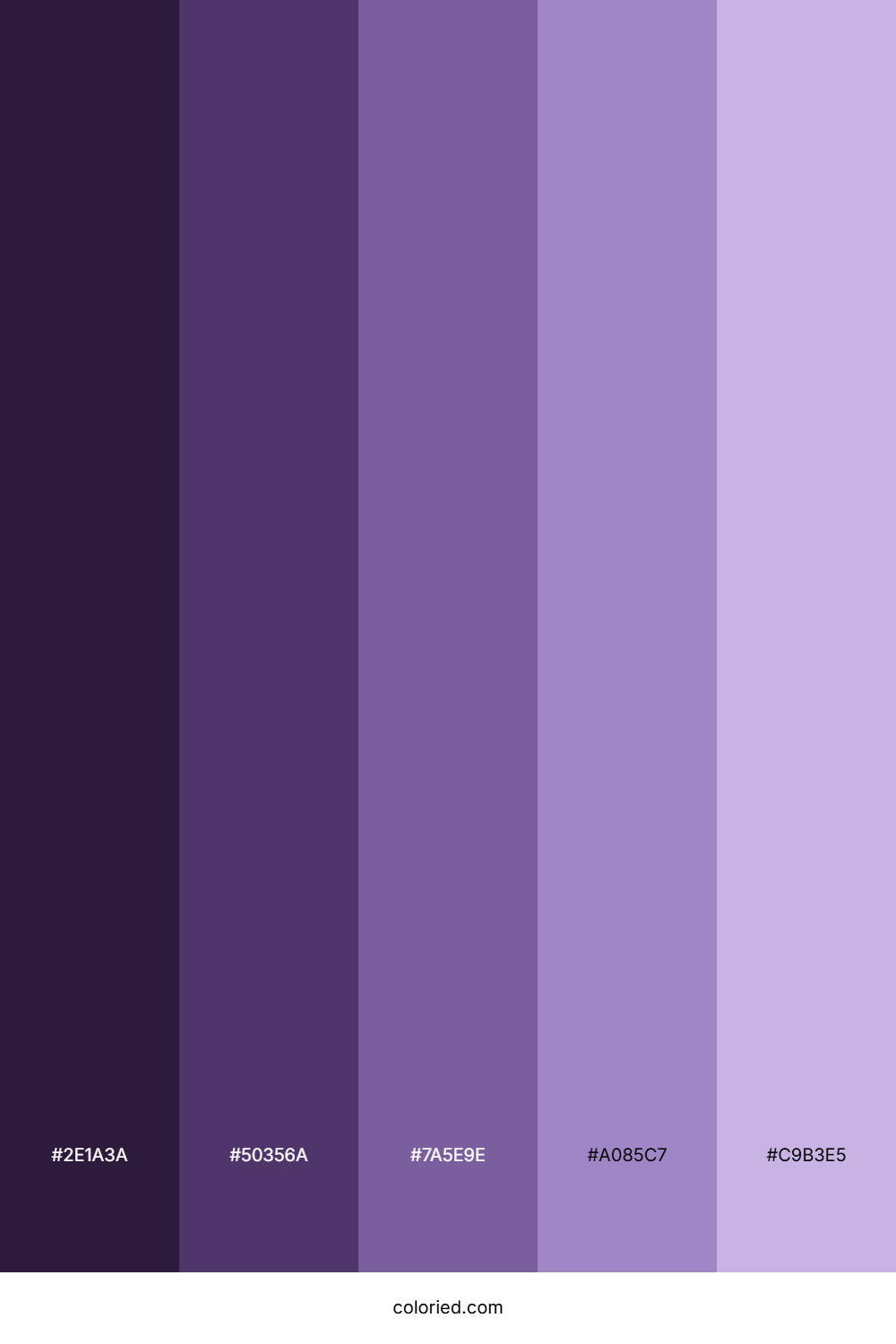 Purple Raven Color Palette