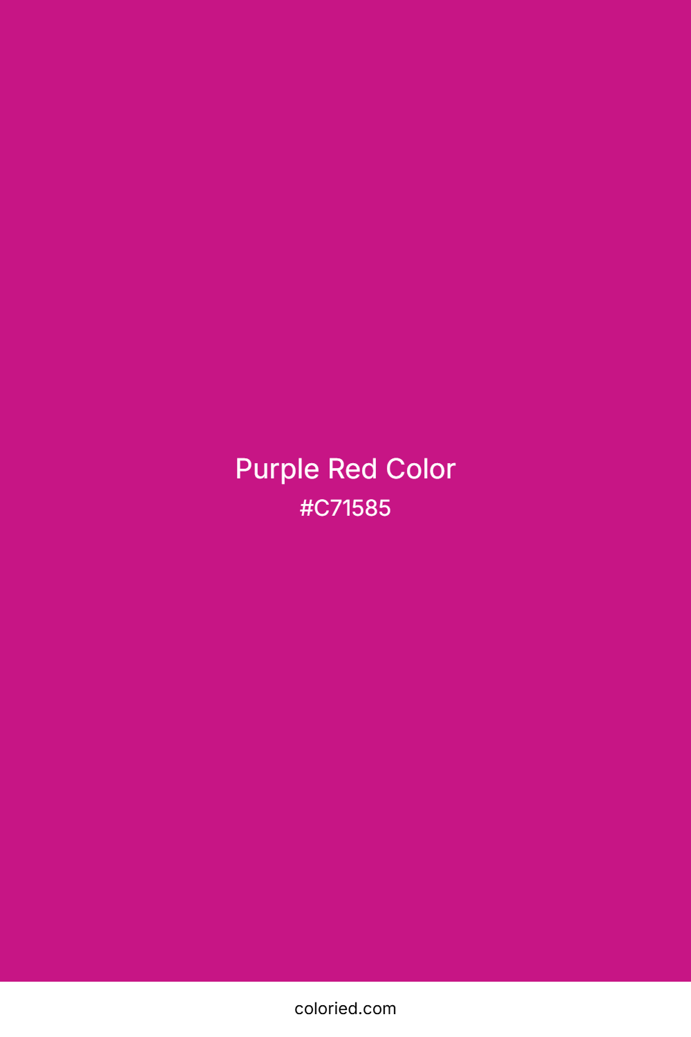 Purple Red Color