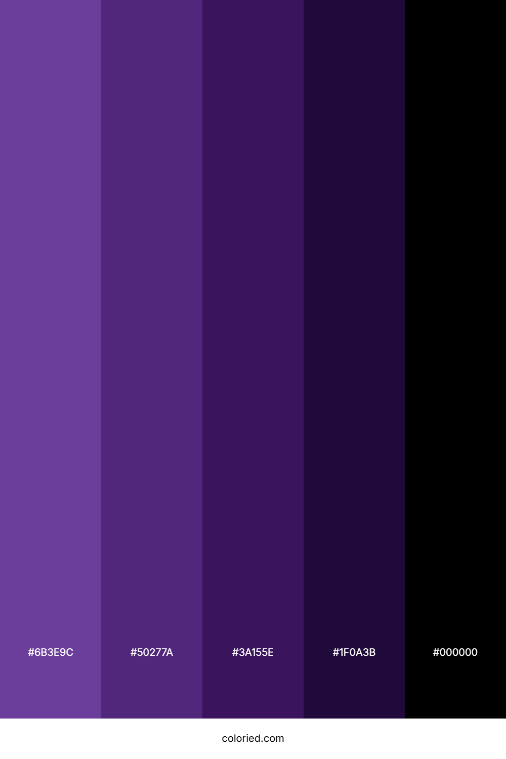 Purple to Black Color Palette