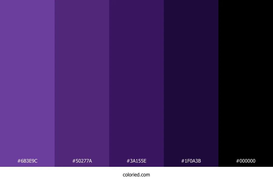 Purple to Black Color Palette