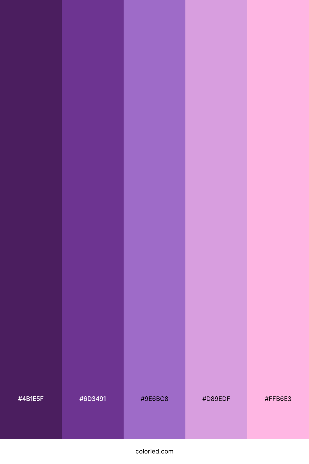 Purple to Pink Color Palette