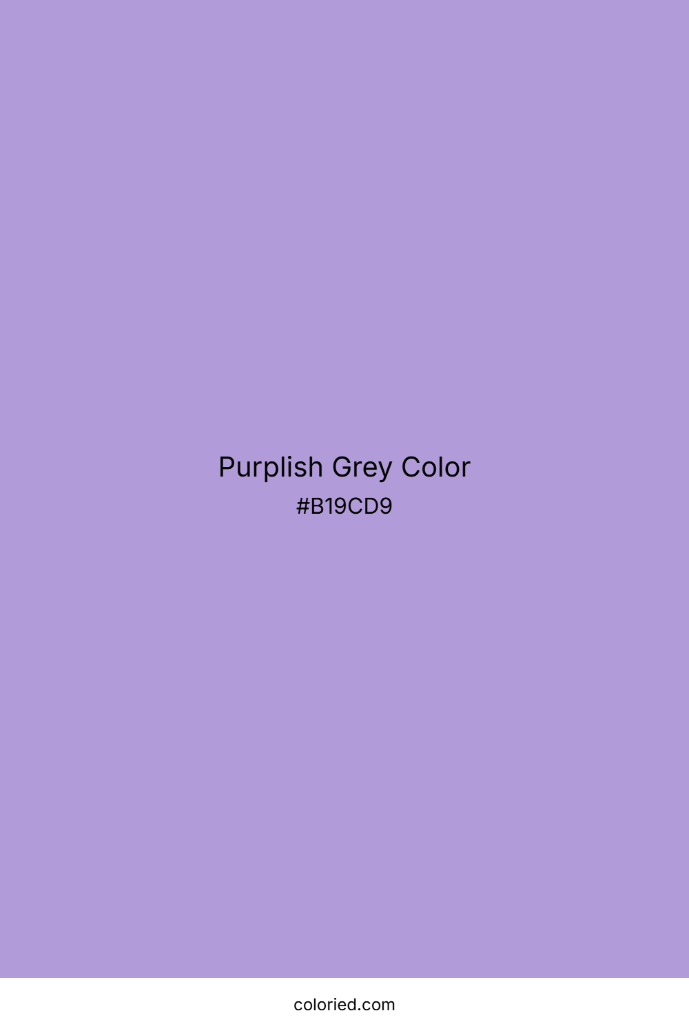 Purplish Grey Color
