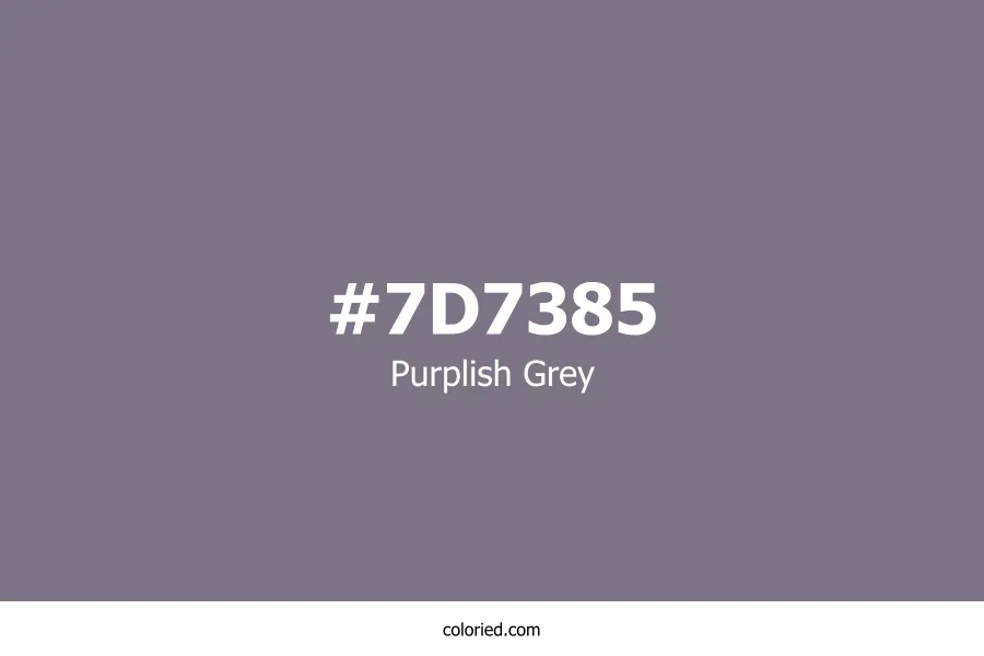 Purplish Grey Color Hex Code