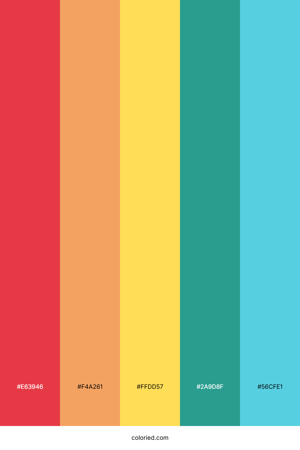 Rainbow Gradient Color Palette