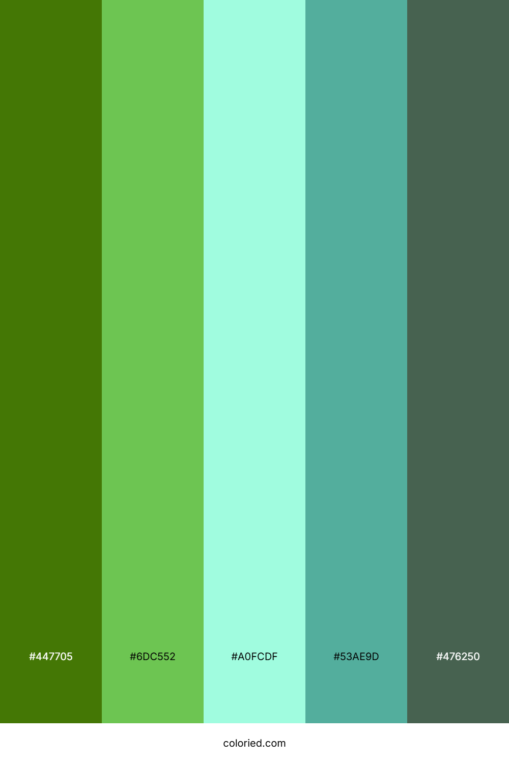 Rainforest Canopy Glow Color Palette