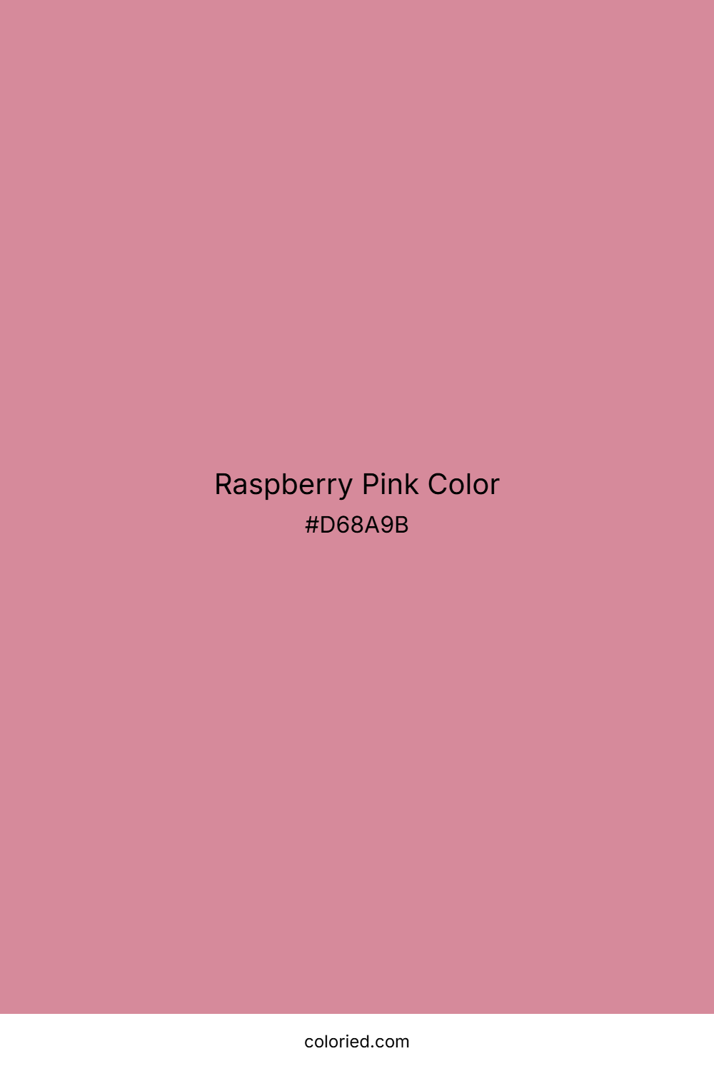 Raspberry Pink Color