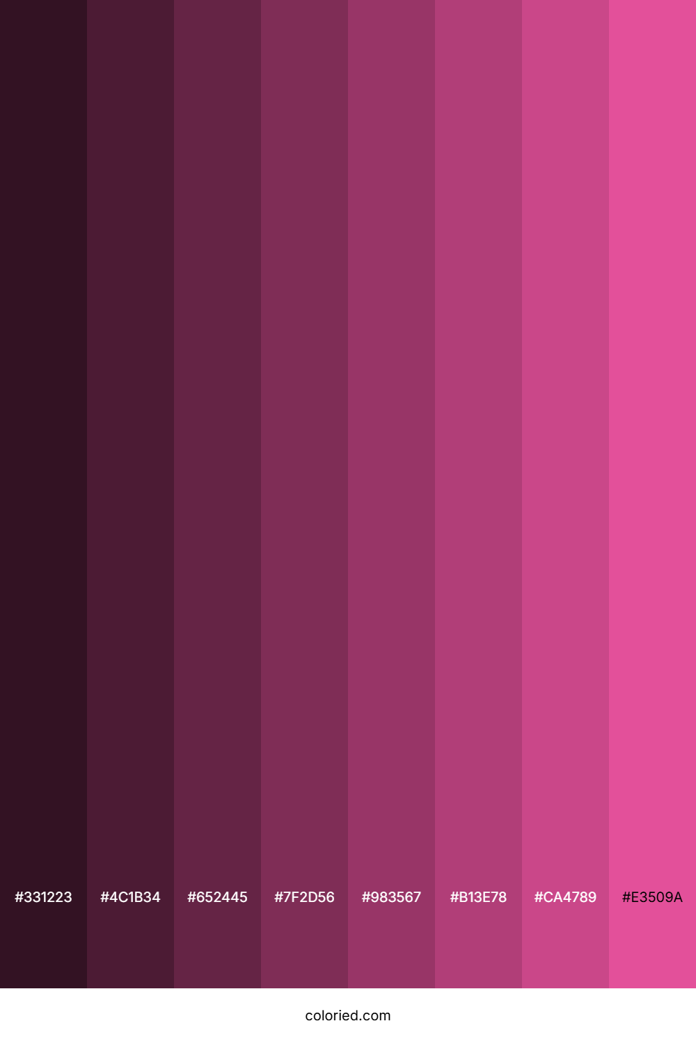 Raspberry Pink Shades