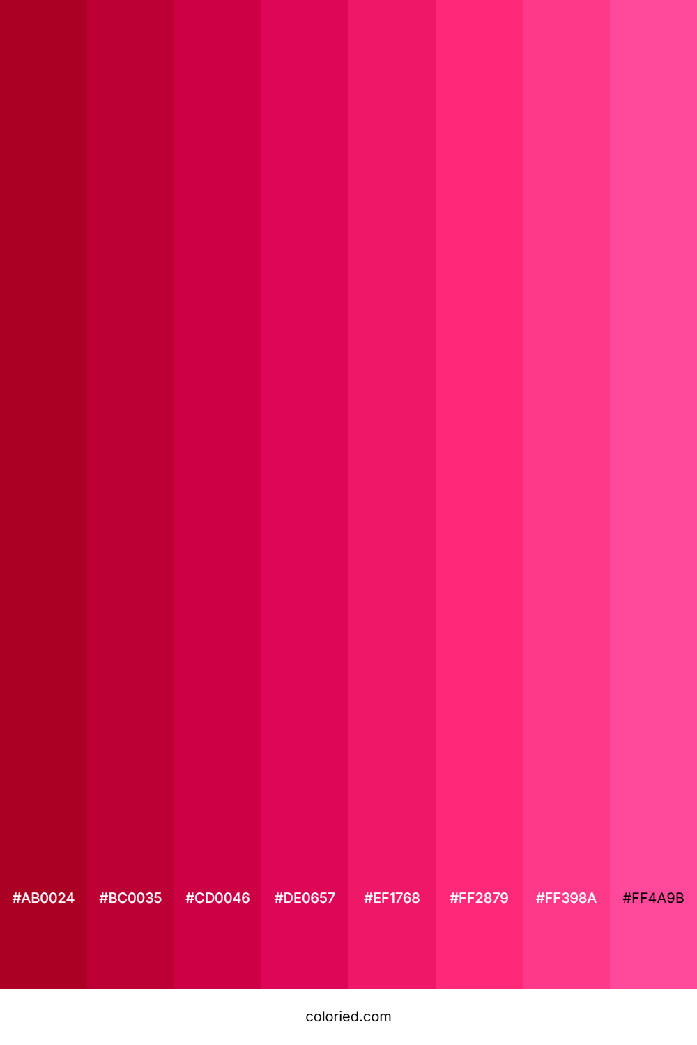 Raspberry Red Shades