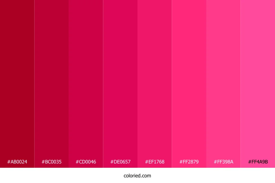 Raspberry Red Shades