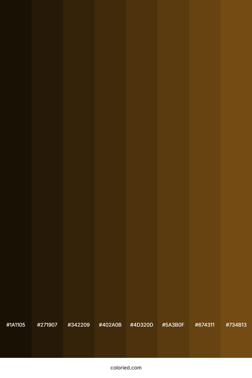 Raw Umber Color Shades