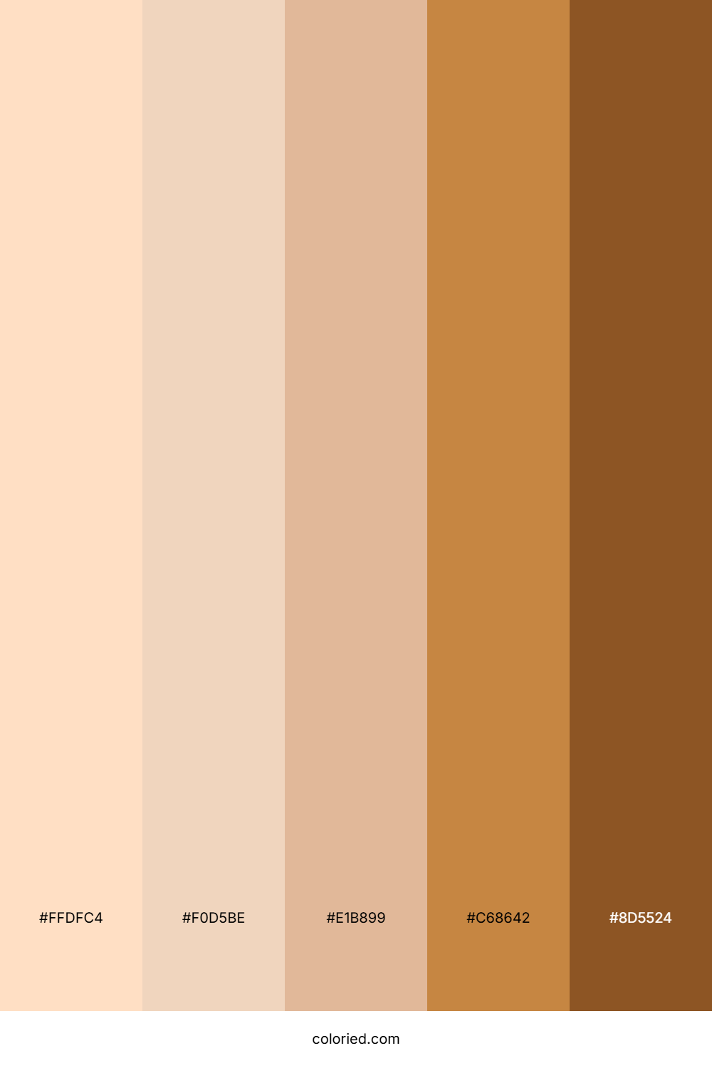 Real Skin Tones Color Palette