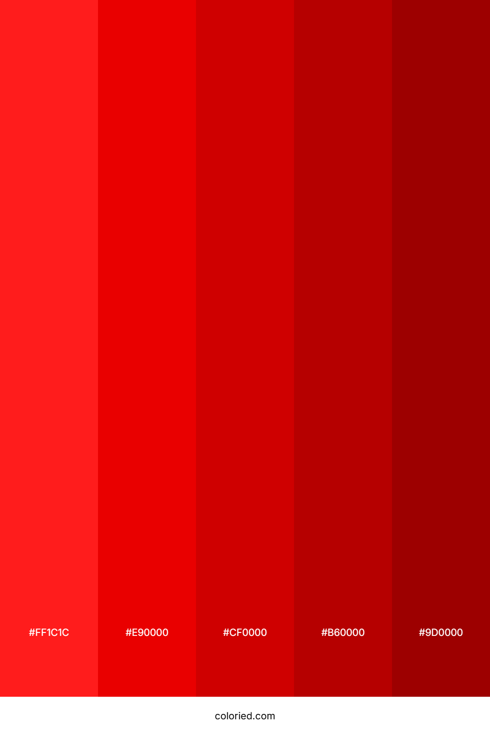 Red Aesthetic Color Palette