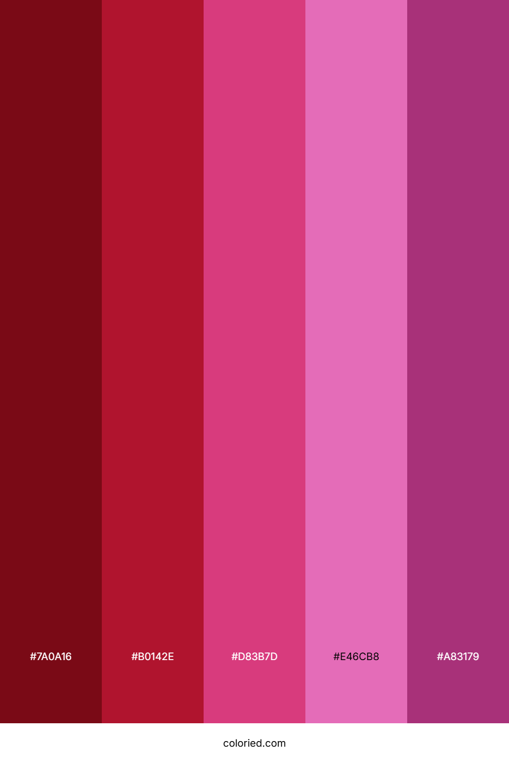 Red and Magenta Color Palette