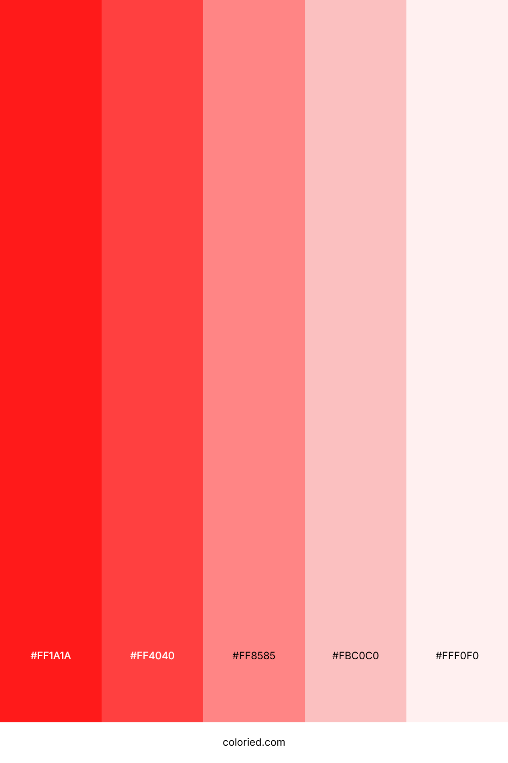 Red and Pink Color Palette