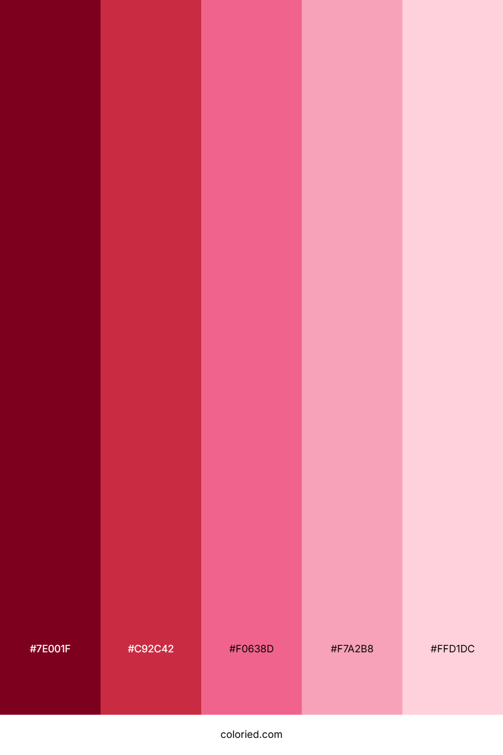 Red and Pink Gradient Color Palette