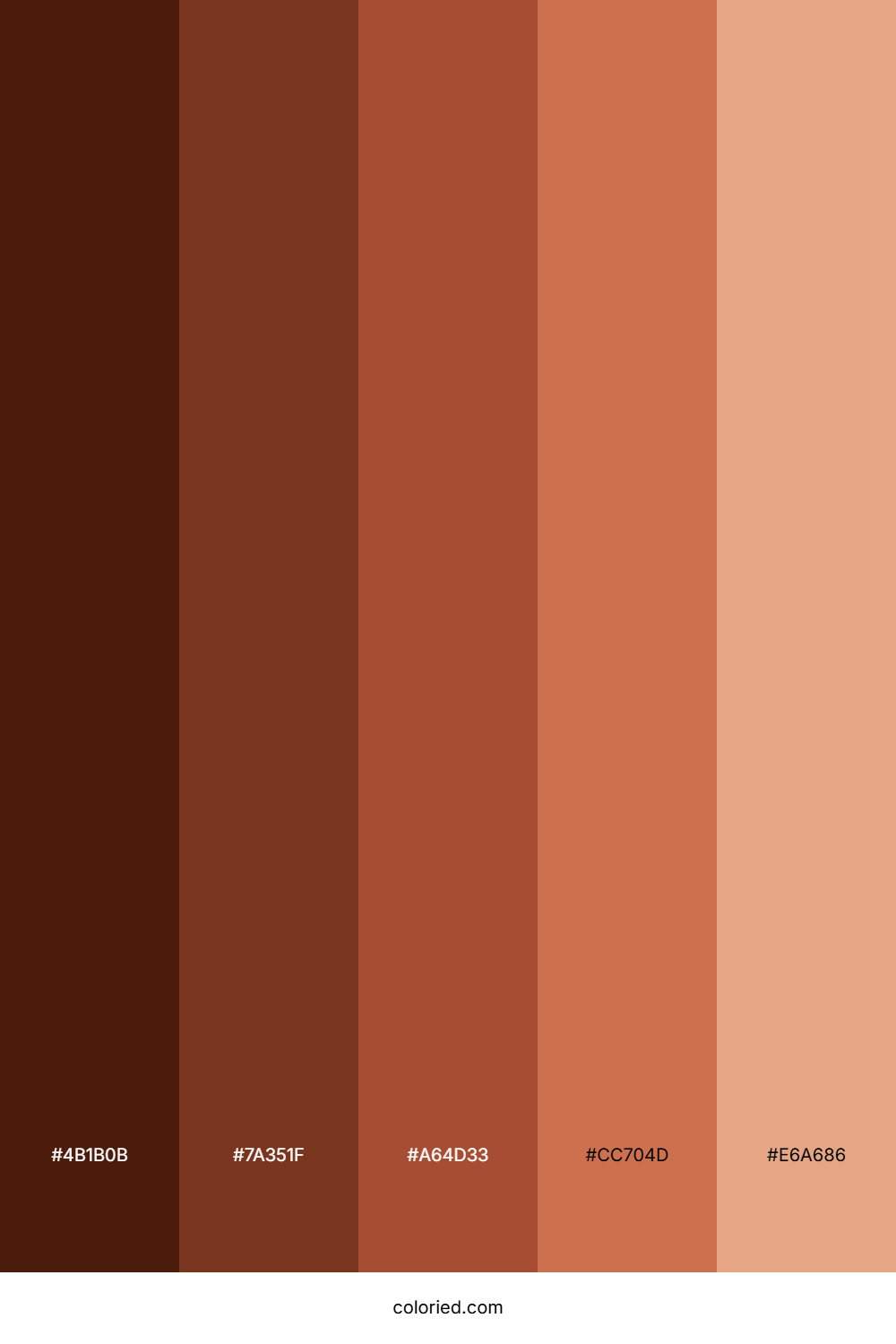 Red Brown Hair Color Palette