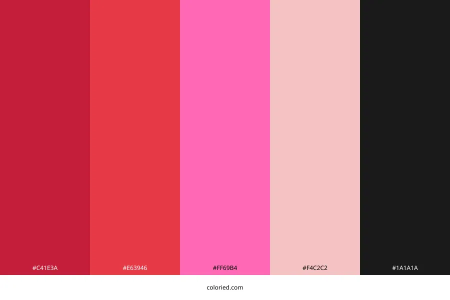 Red Pink Black Color Palette