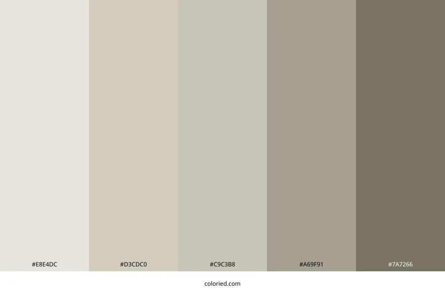 Repose Gray Color Palette