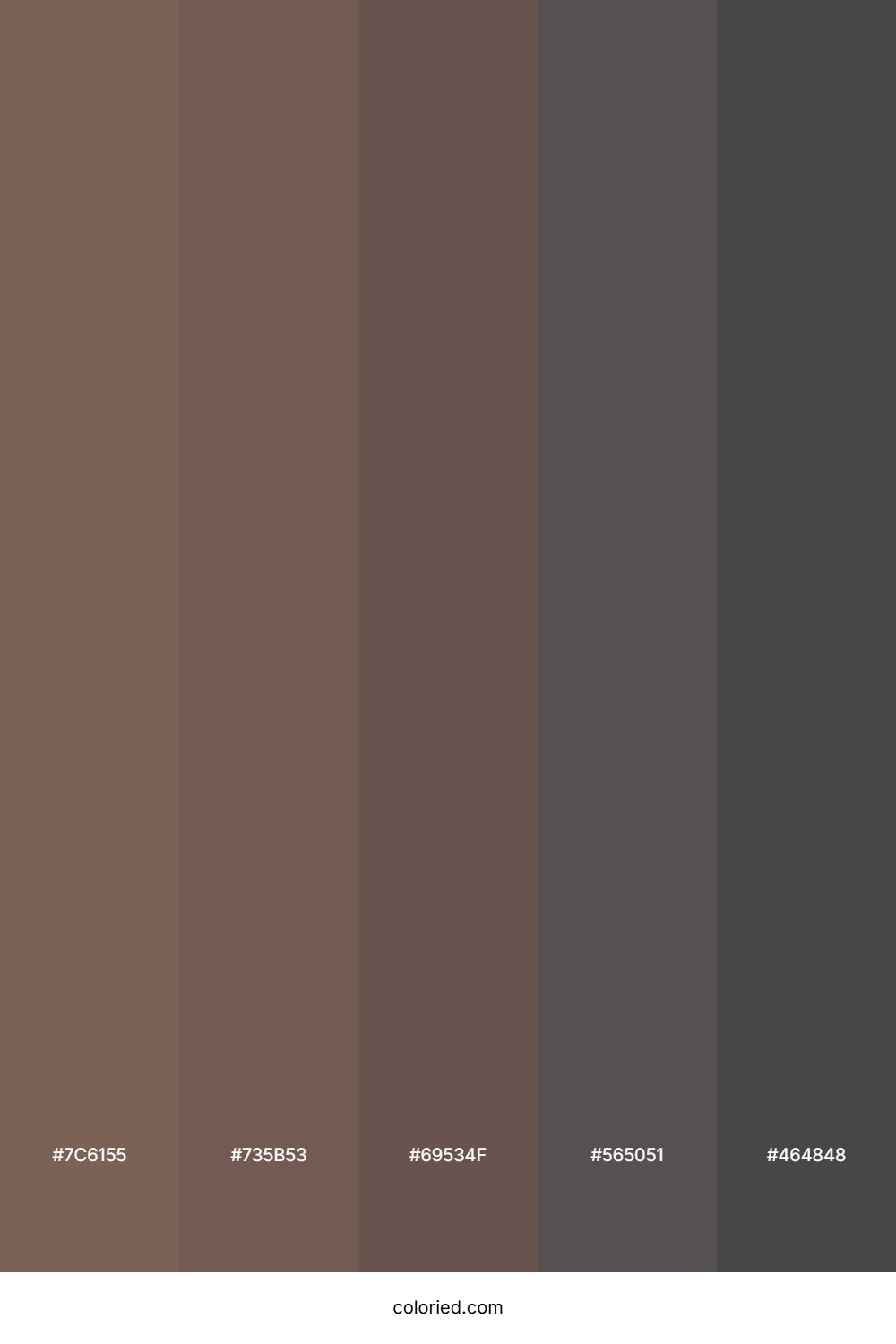 Rich Brown and Slate Color Palette