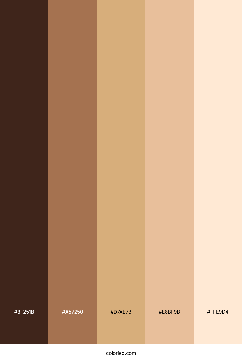 Rich Brown and Warm Tan Color Palette