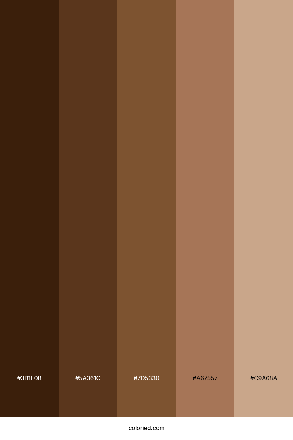 Rich Brown Color Palette