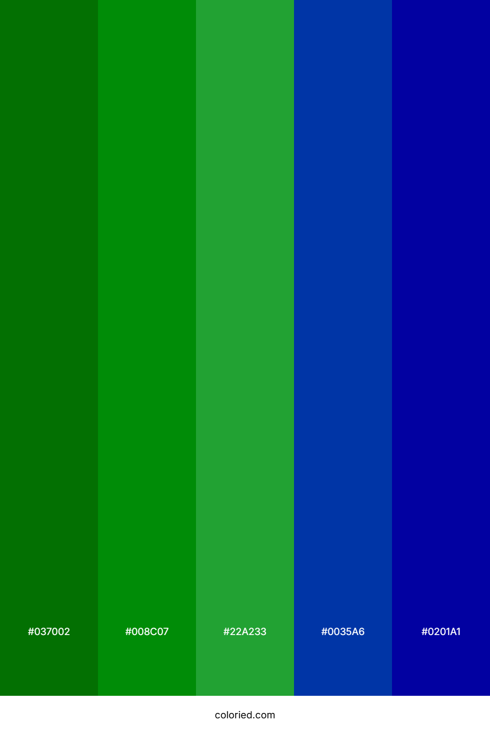 Rich Green And Dark Blue Color Palette