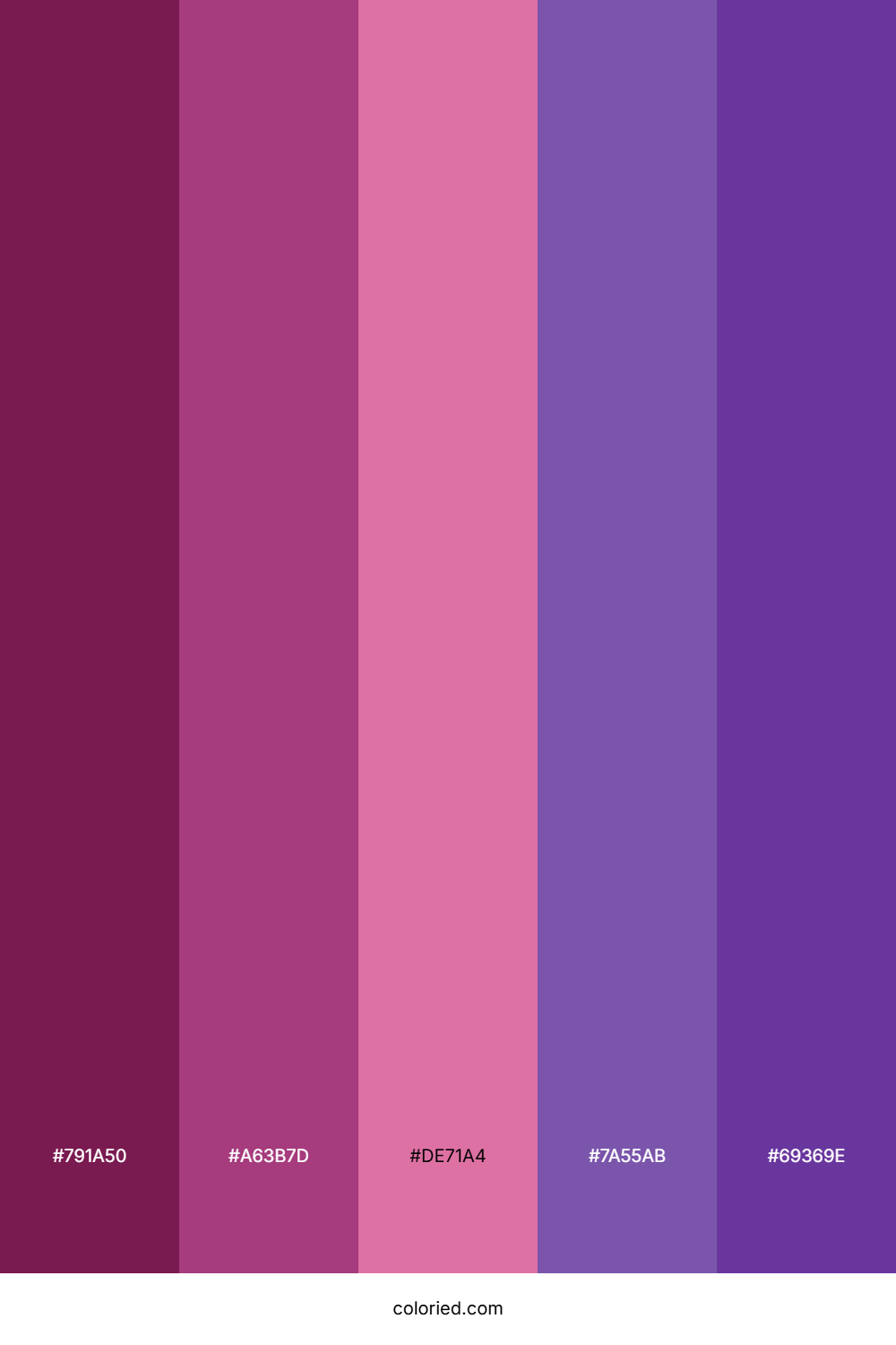 Rich Magenta And Royal Purple Color Palette