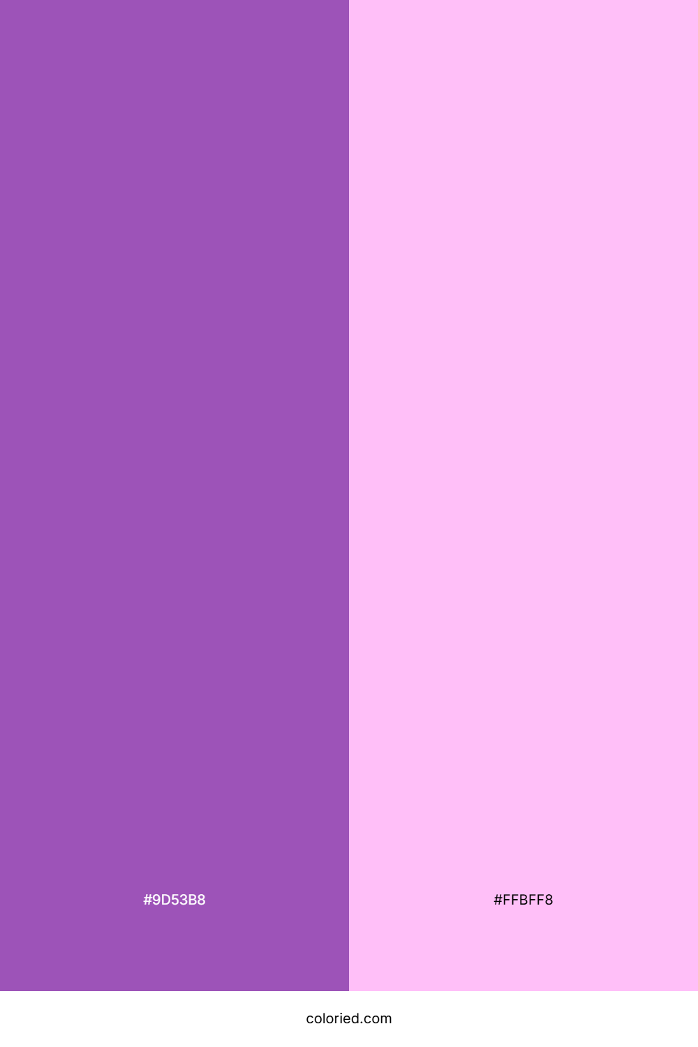 Rich Purple and Cotton Pink Color Palette
