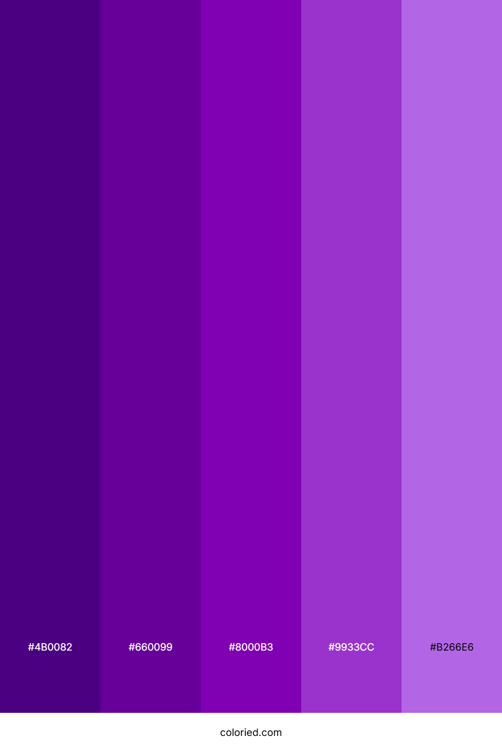 Rich Purple Color Palette