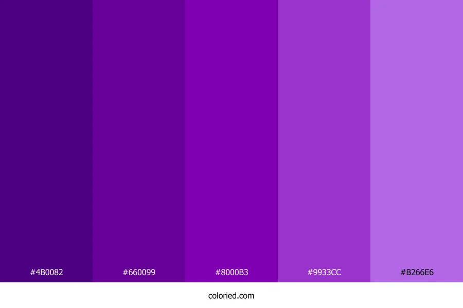Rich Purple Color Palette
