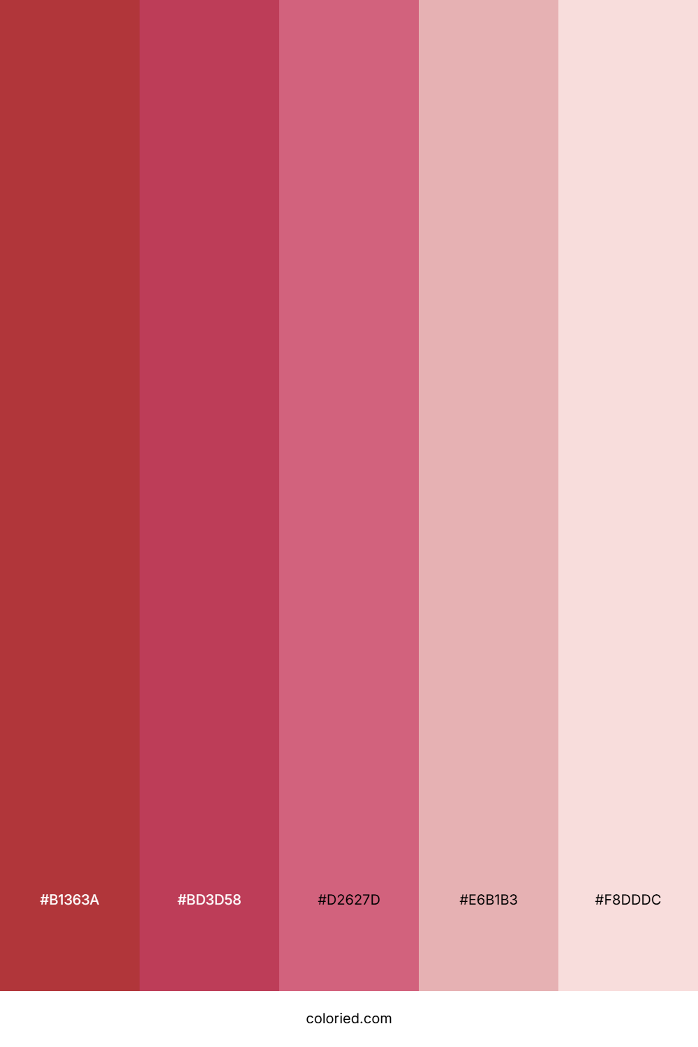 Rich Red And Soft Pink Color Palette