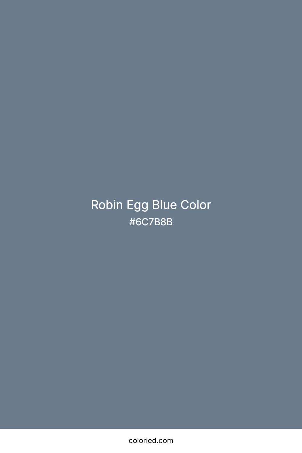 Robin Egg Blue Color