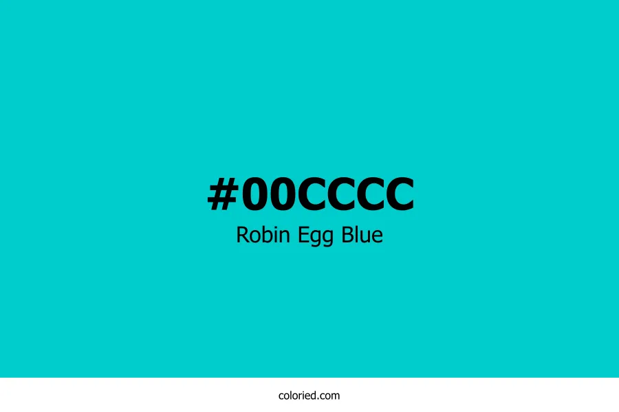 Robin Egg Blue Color Hex Code